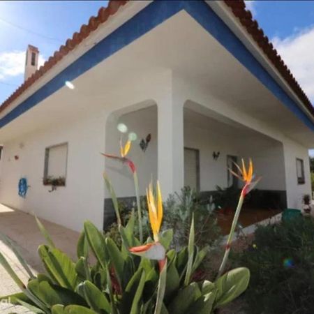 Sun House Villa Sao Bras de Alportel Exterior photo